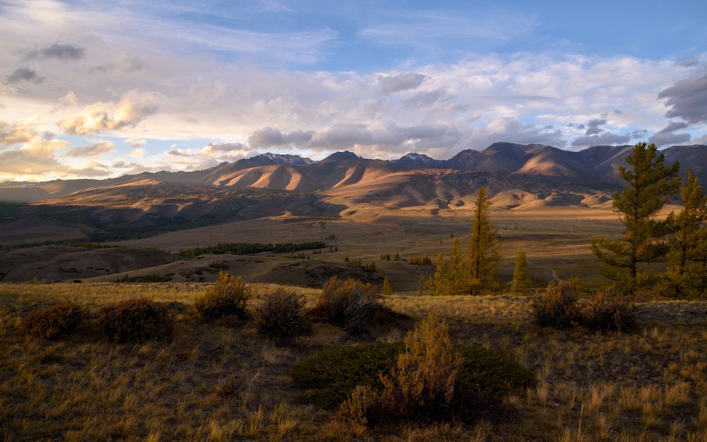 Photograph by Михаил Пучков