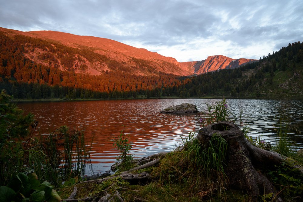 Photograph by Михаил Пучков