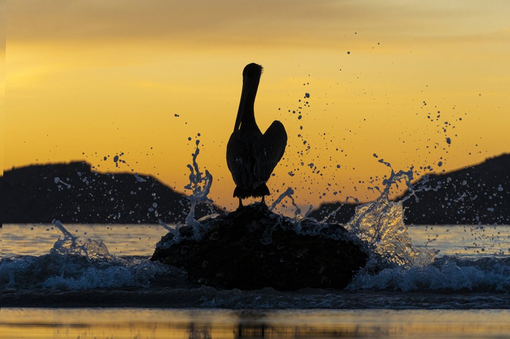 Photograph by Lopez Aguirre Fernando