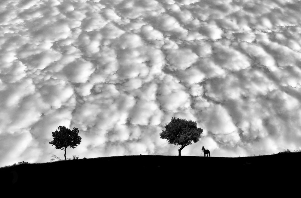 Photograph by Omid Farrokh