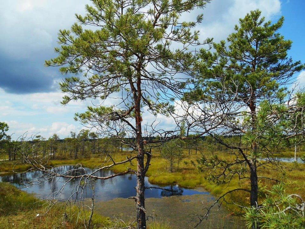 Photograph by Татьяна Авдеева