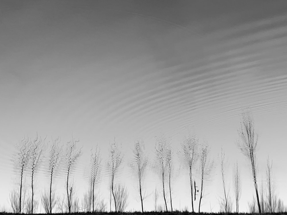 Photograph by Arezoo Mosaddegh