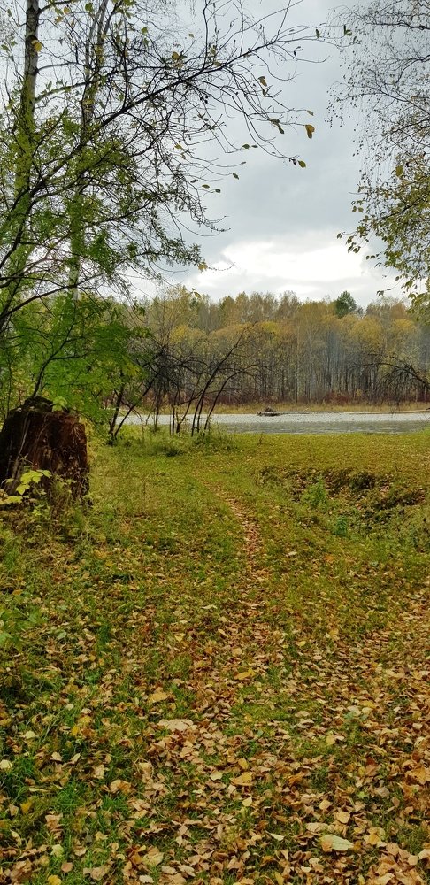 Photograph by Татьяна