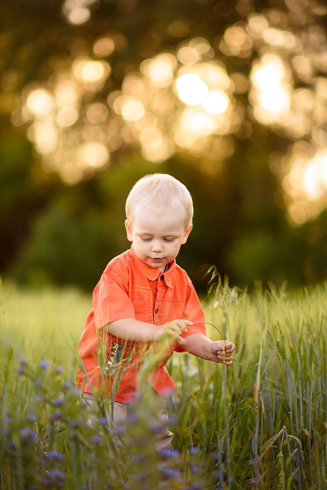 Photograph by Анастасия Косаревская