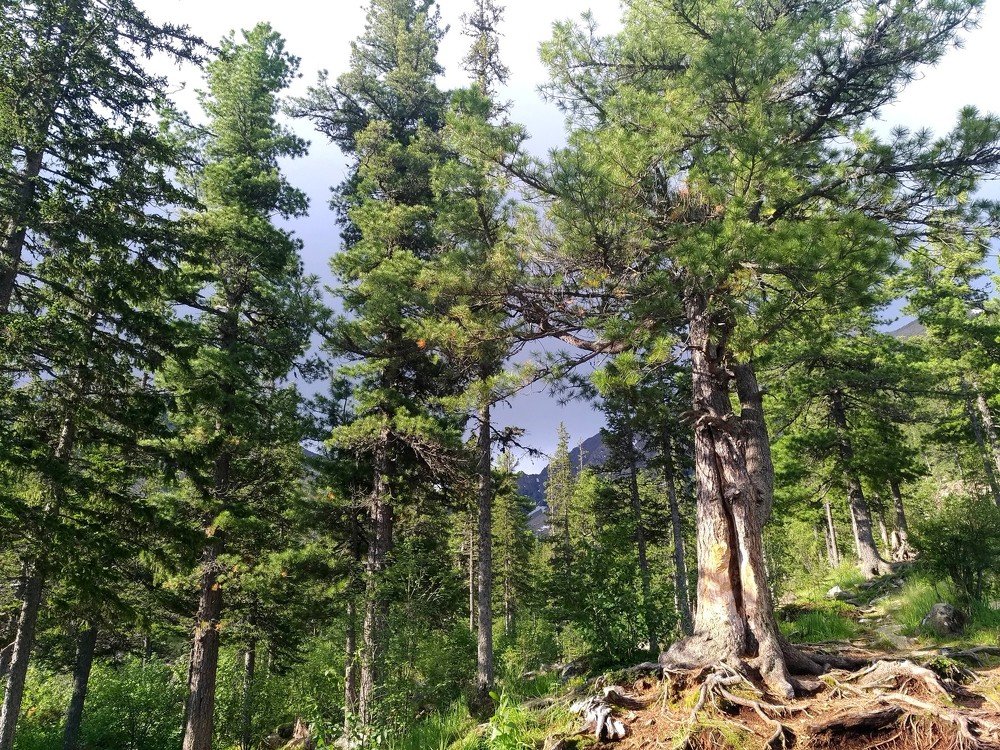 Photograph by Наталья Лобкова