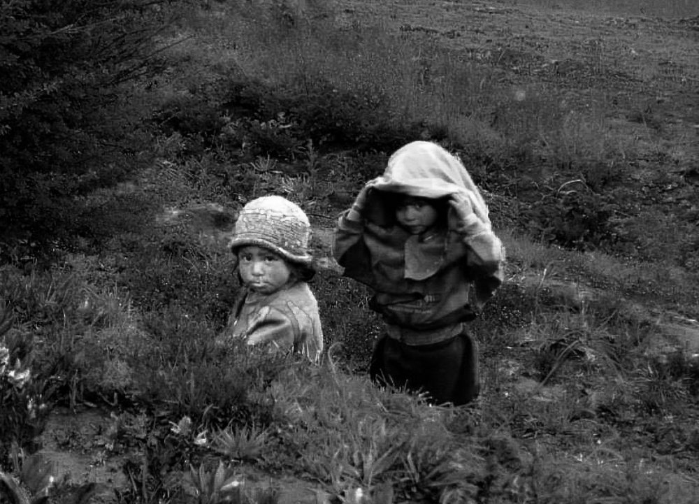 Photograph by Johana Monserrath Goyes Guerra