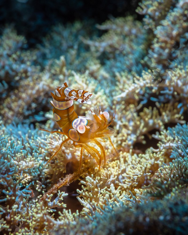 Photograph by Андрей Савин