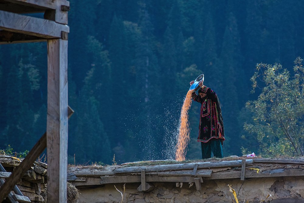 Photograph by Zaheer Abbas