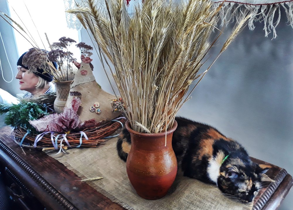 Photograph by Щербакова Галина