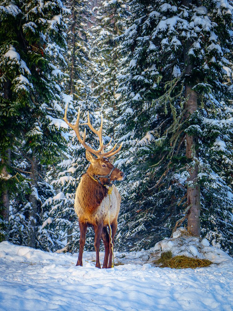 Photograph by Виталий Ррррр