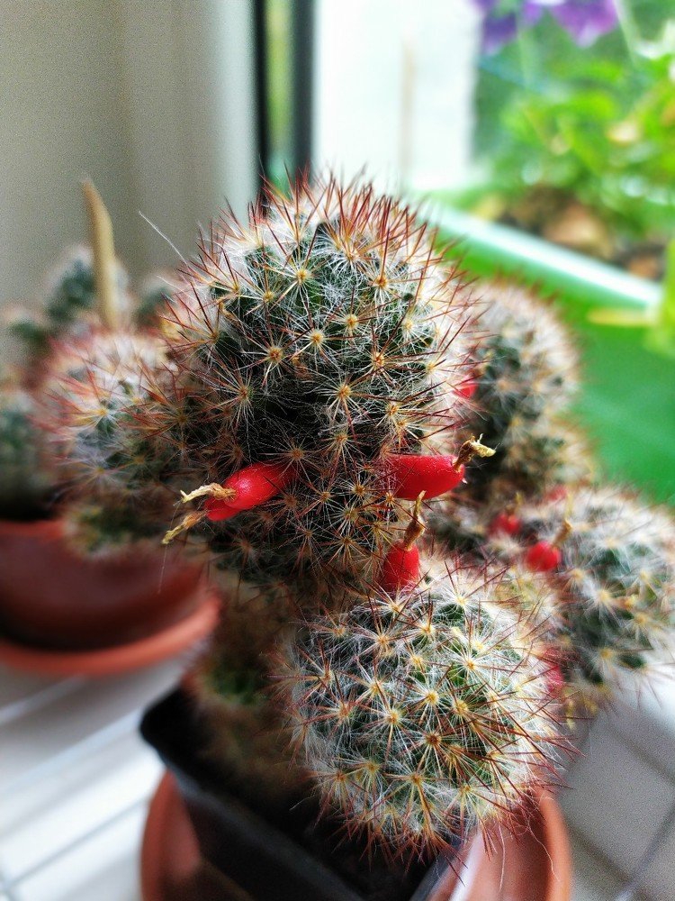 Photograph by Юлия Анисимова