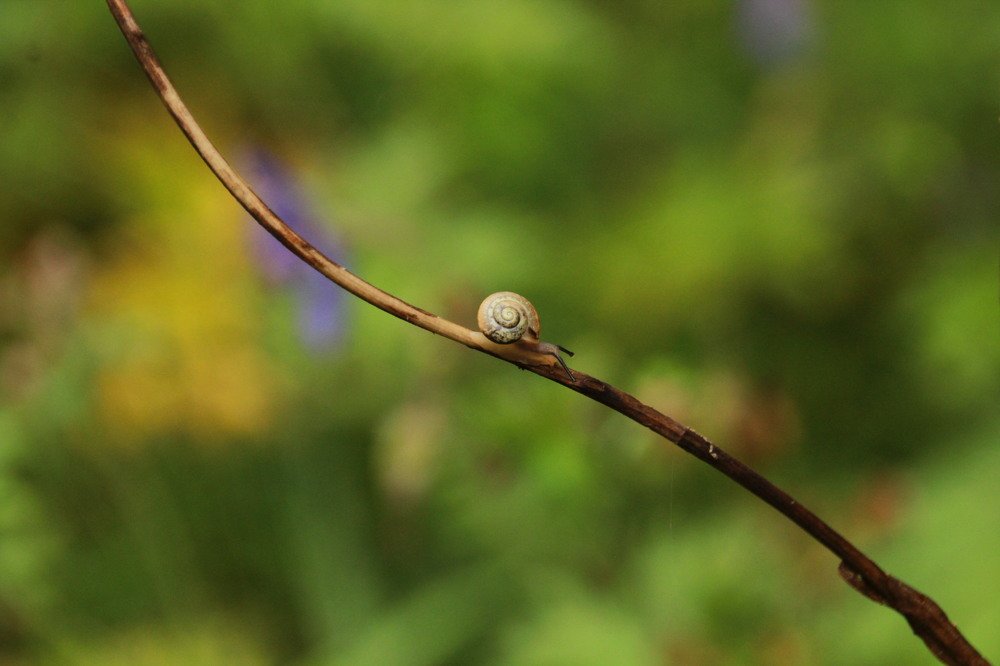 Photograph by Илья Беликов