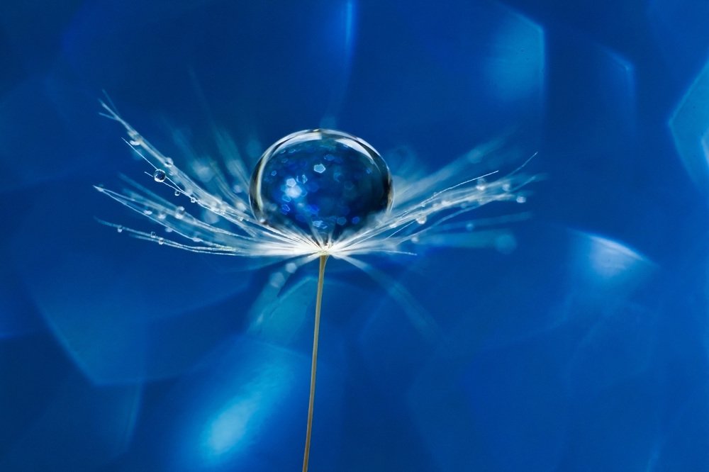 Photograph by Наталья Мищенко