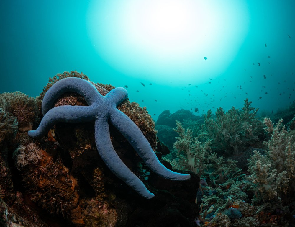 Photograph by Андрей Савин