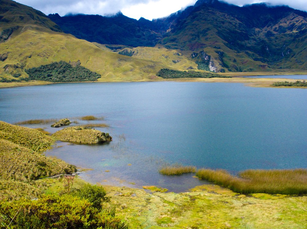 Photograph by Johana Monserrath Goyes Guerra