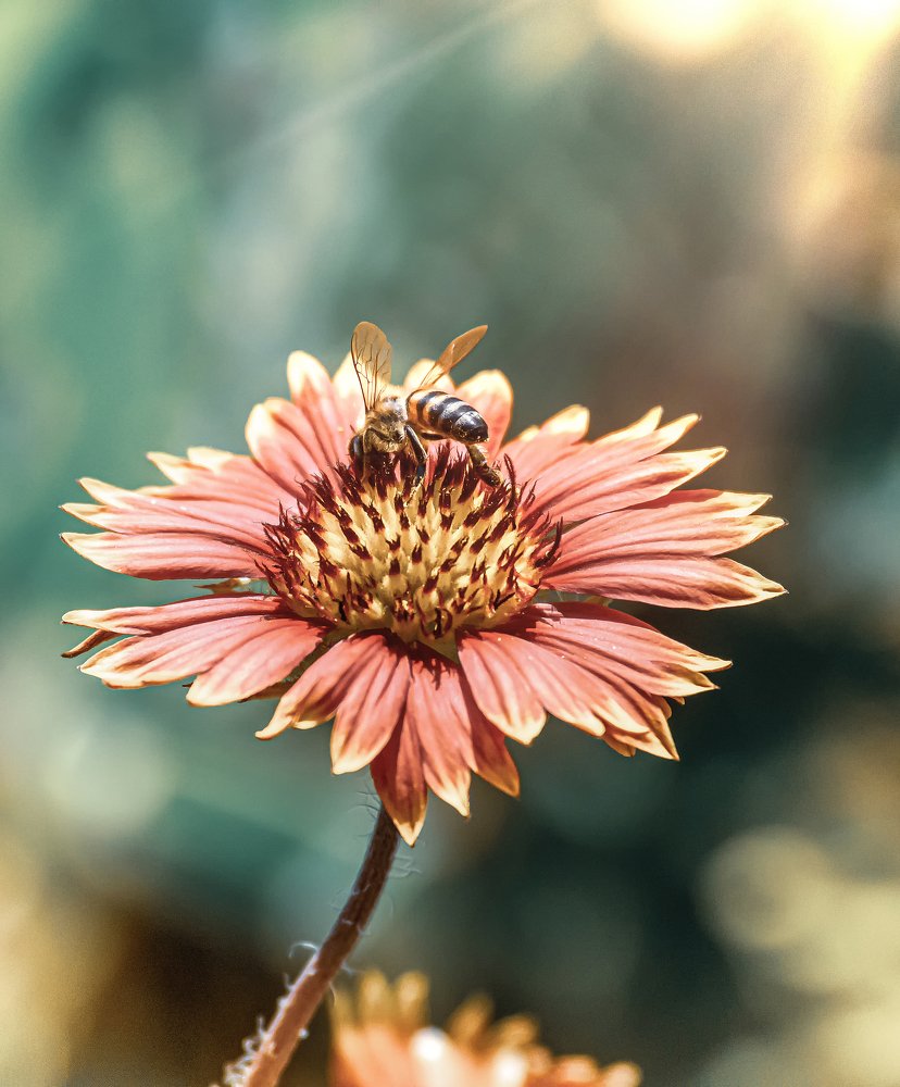 Photograph by Nathan