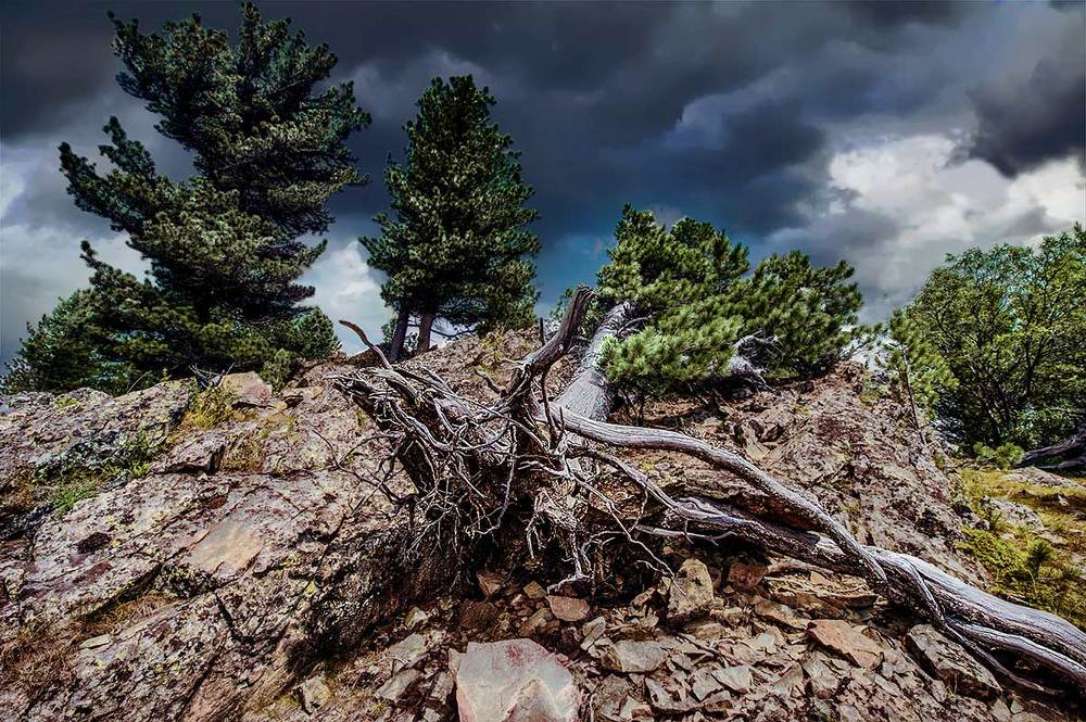 Photograph by Владимир Черкасов