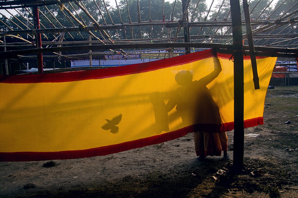 THE BIRD AND THE WOMAN