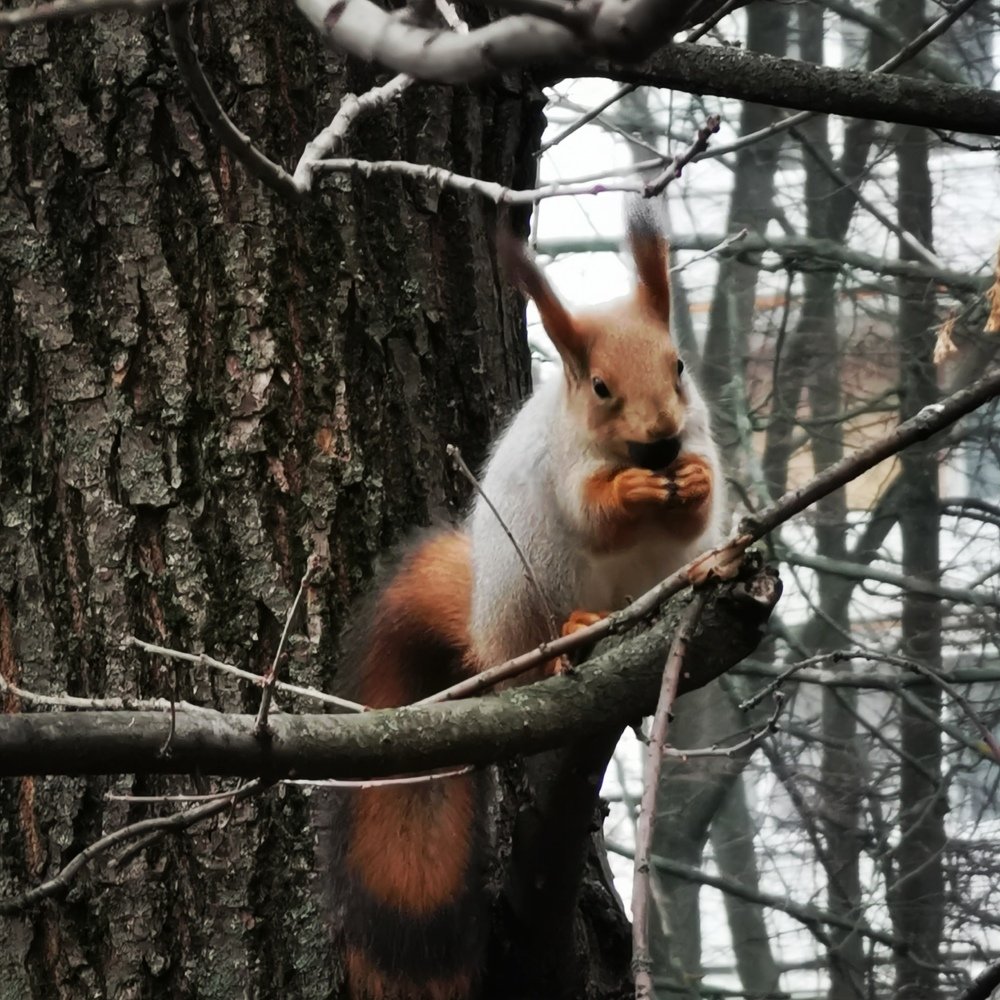 Photograph by Алексей Зелянин