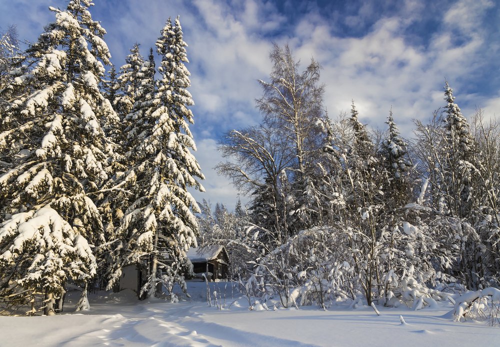 Photograph by Максим Фролов