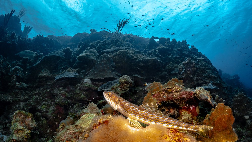 Photograph by Андрей Савин