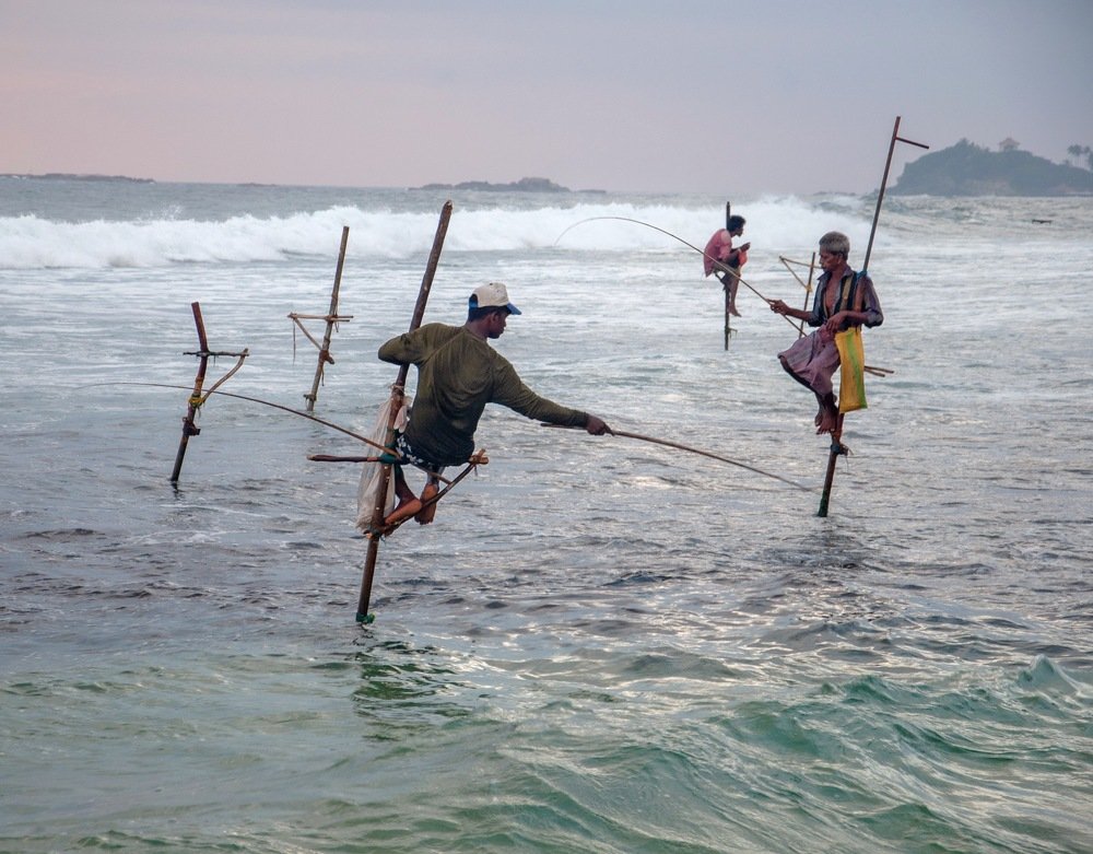 Как сидеть на шесте и ловить рыбу