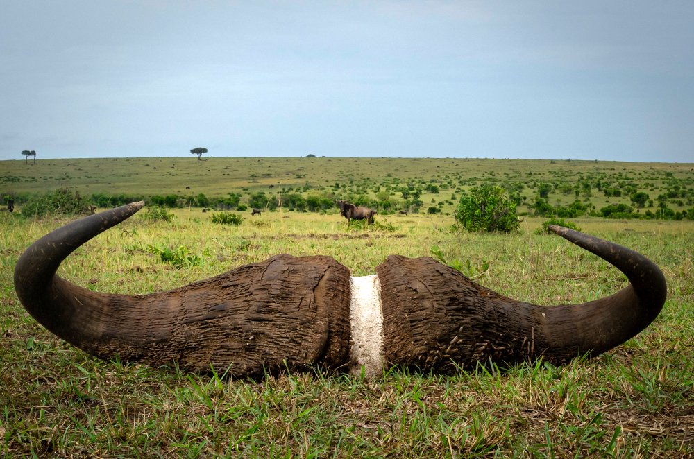 Photograph by Bobby John Lawrence