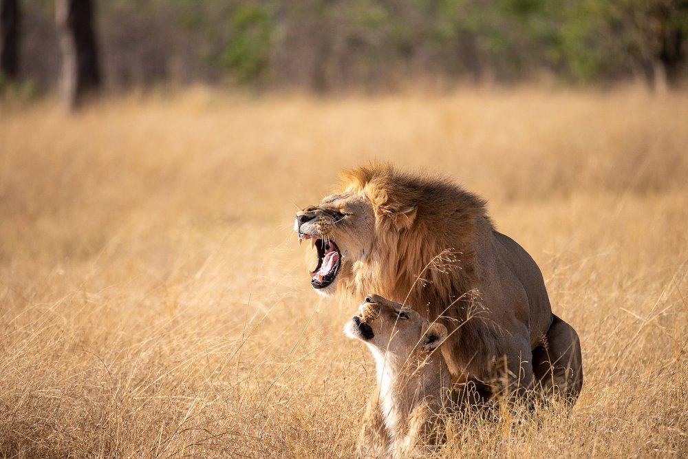 Photograph by Bobby John Lawrence