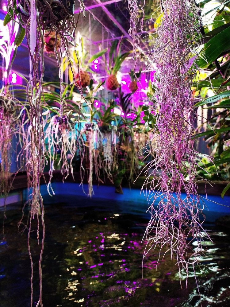 Зоопарк. г.Санкт-Петербург