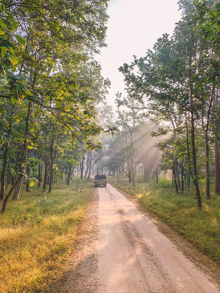 Photograph by Neeraj Gade