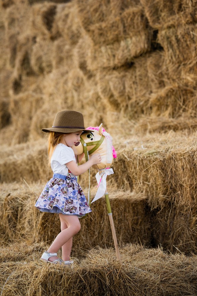 Я люблю свою лошадку