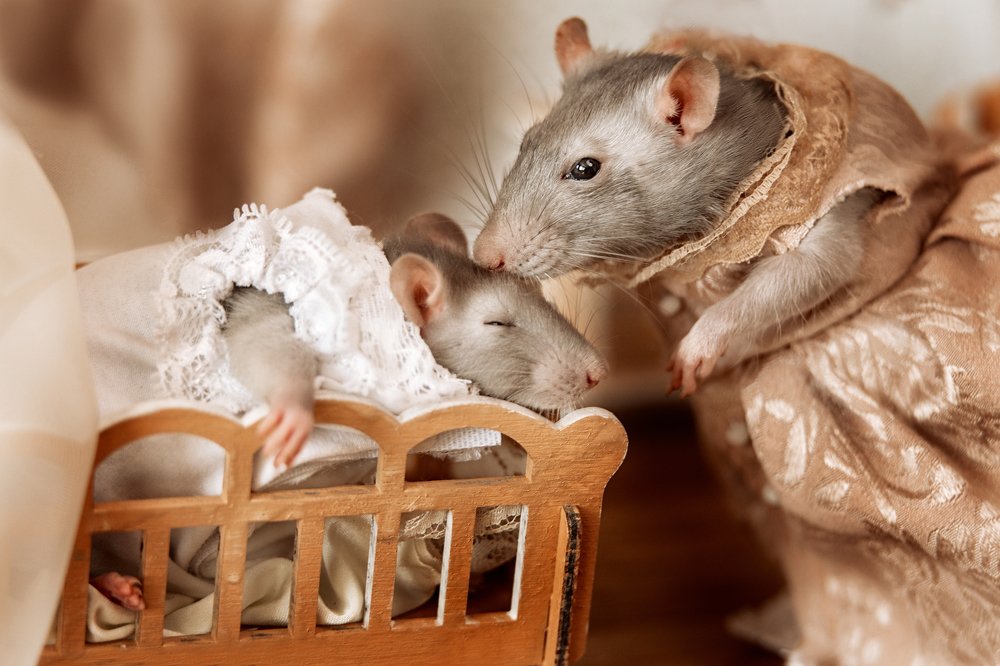 Photograph by Лилия