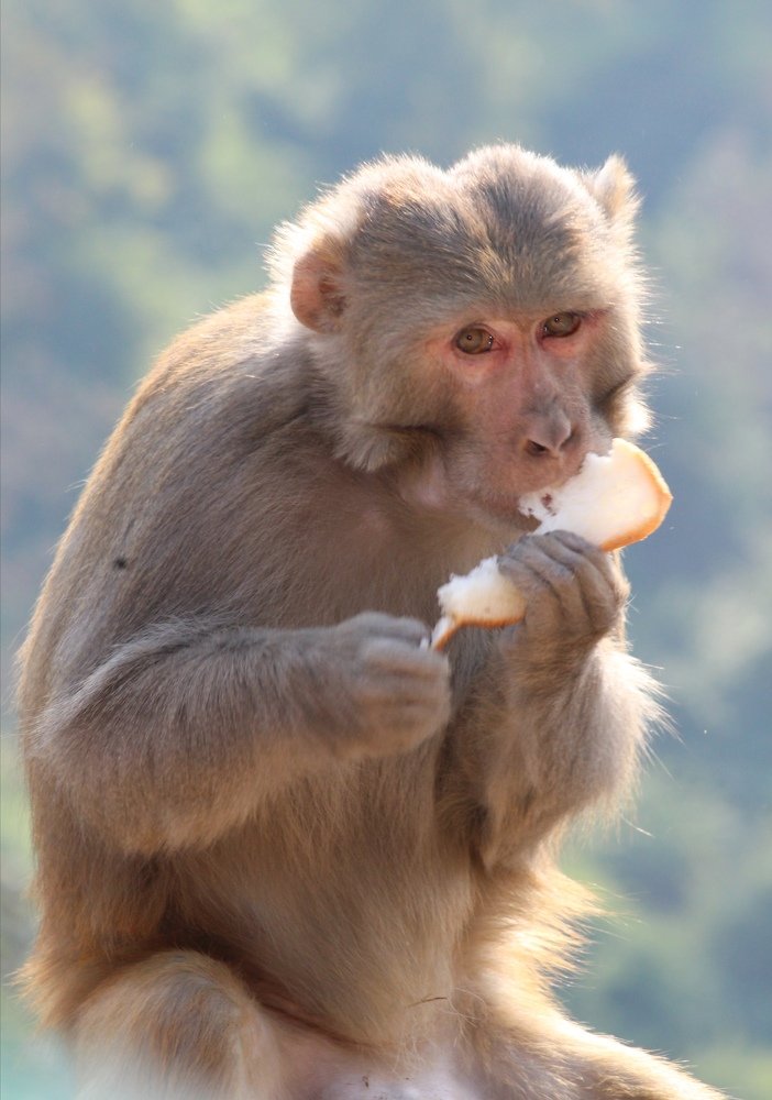 Photograph by Aneesh mallan