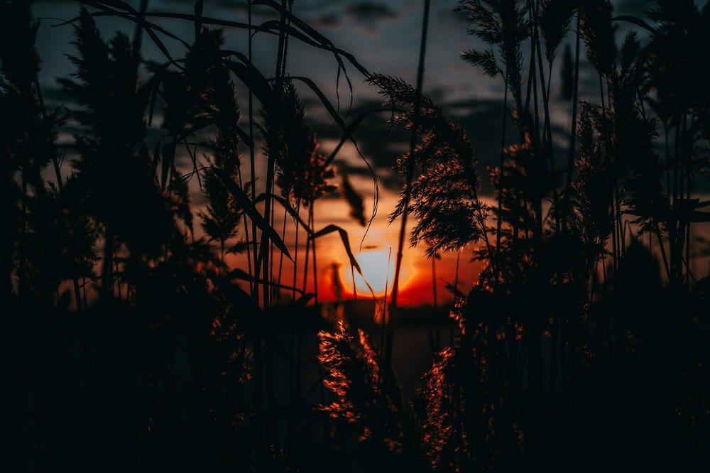 Photograph by Владислав Богаткин