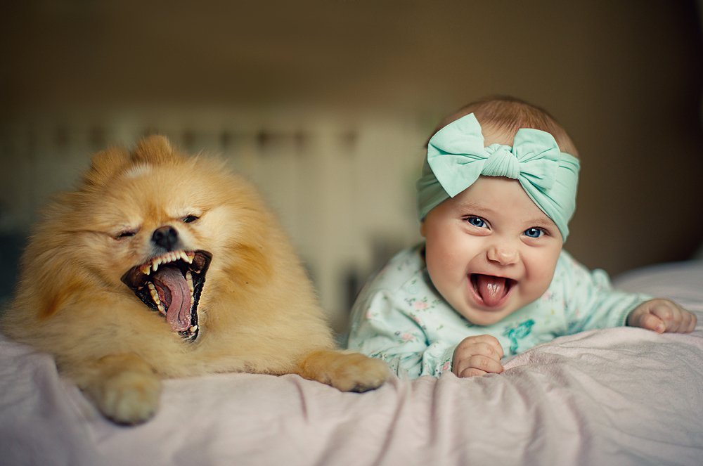 Photograph by Екатерина Крыга