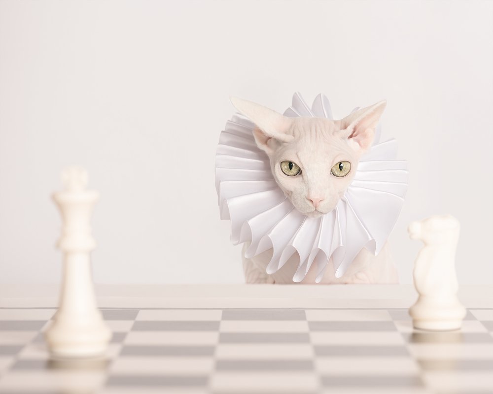 Who's the Queen here?