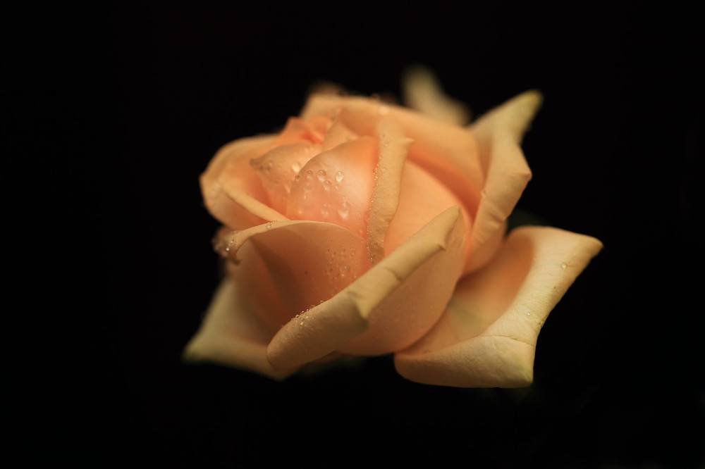 Фотография автора Татьяна Федюхина
