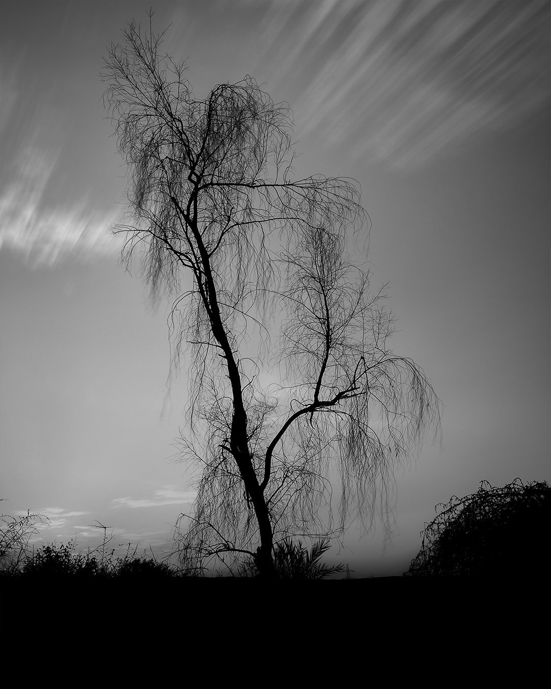 Photo #4422713