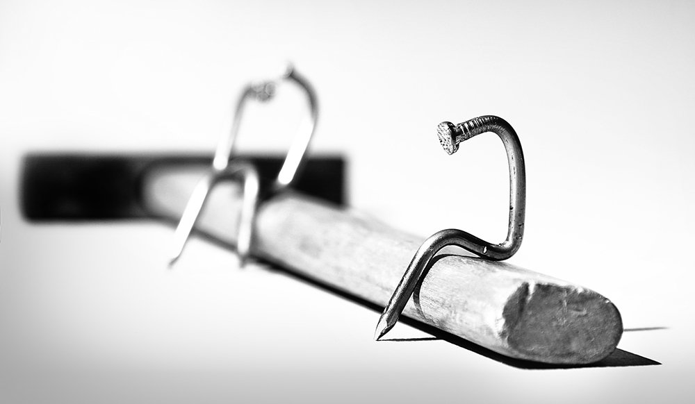 Photograph by Павел Сазонов