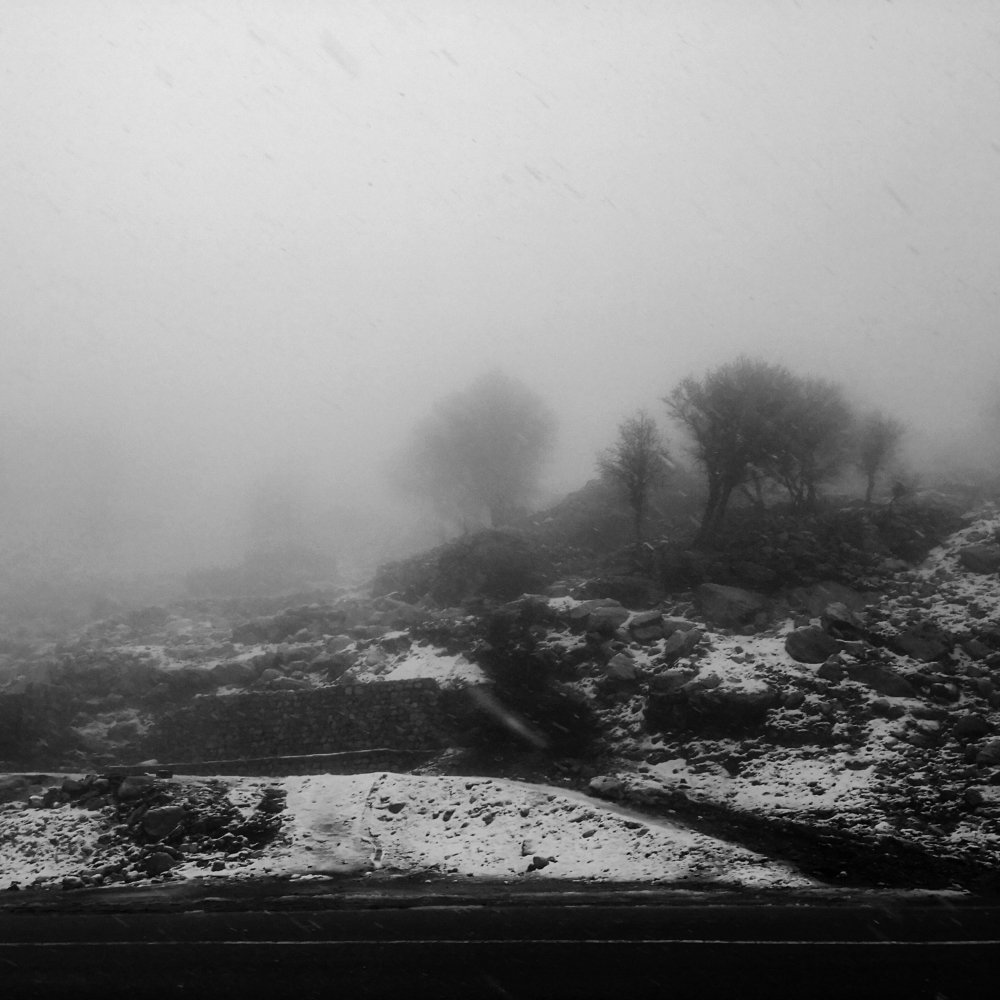 Photo #4422832