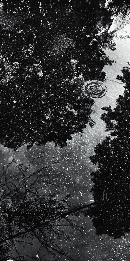 Photograph by Кристина