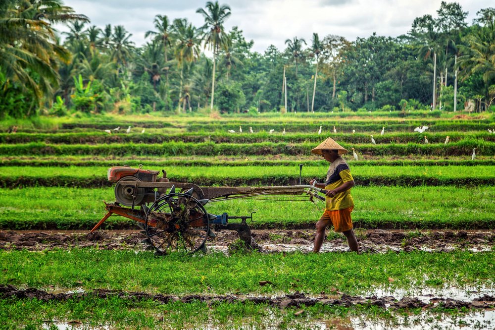 Photograph by Александр Балберов