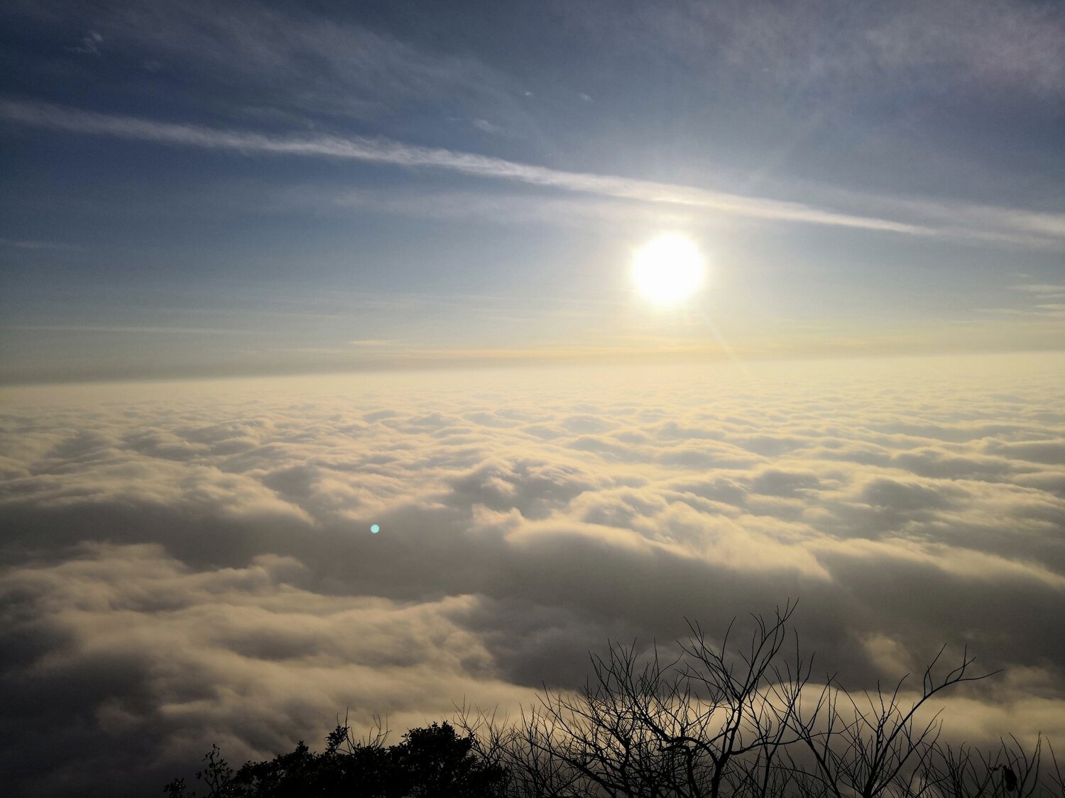 Photo #4422886