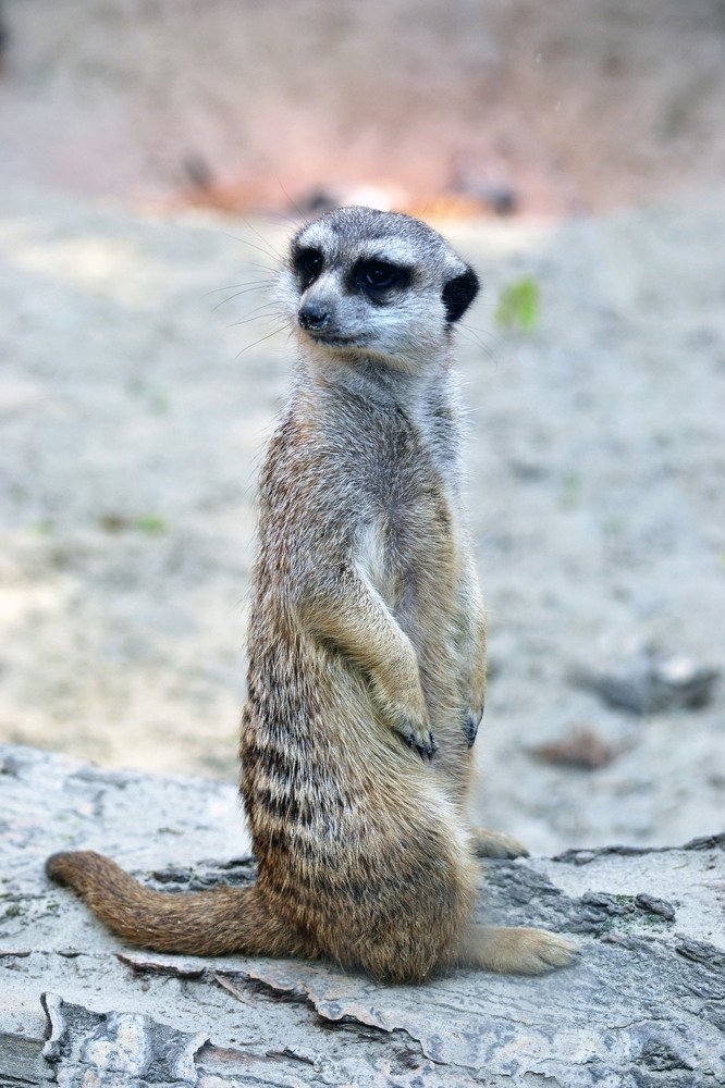 Photograph by Вячеслав Гусаков