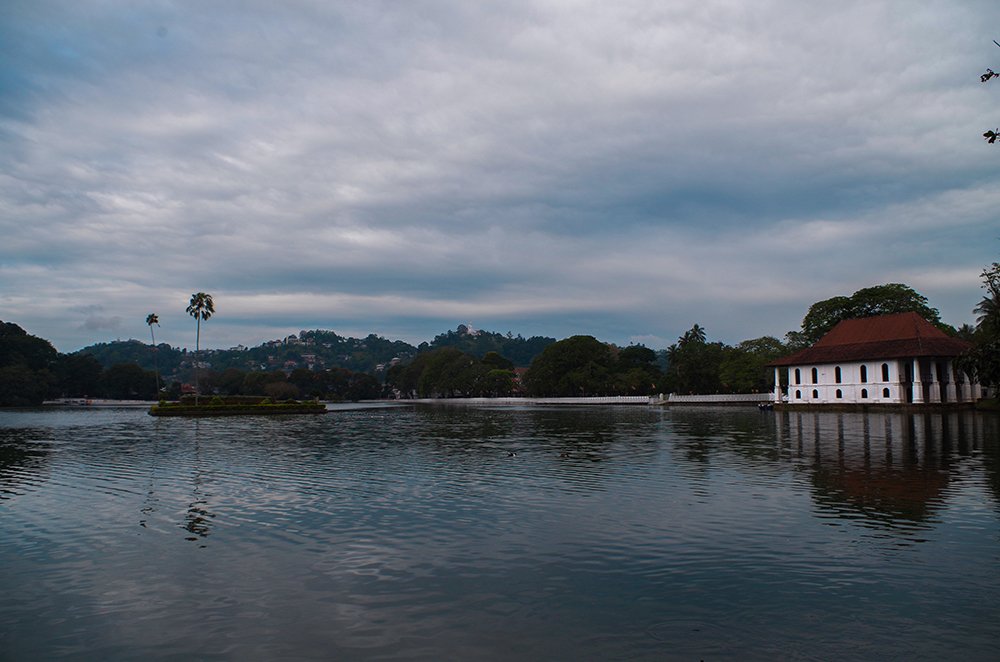 Photograph by kusal janith