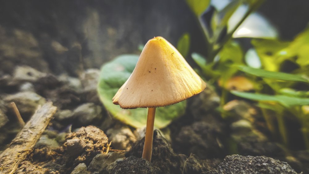 Photograph by khan avi