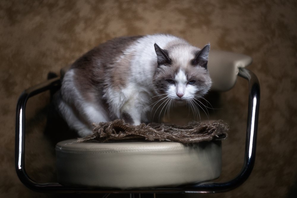 Photograph by Антон Кривошейцев