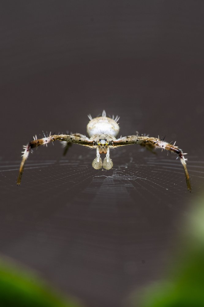 Photograph by Dibyendu Saha