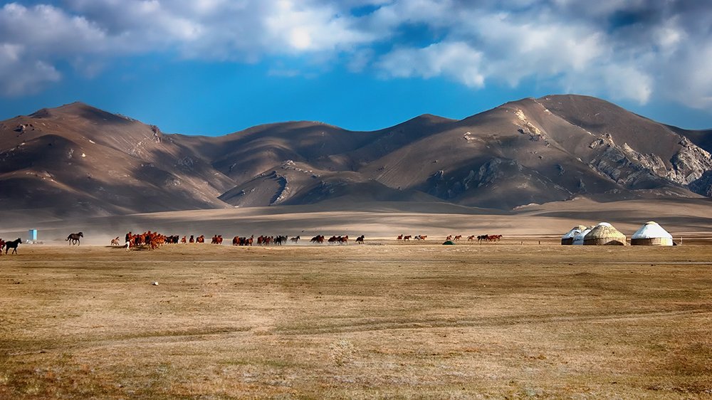 Лошади Сон-Куля