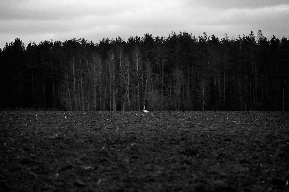 Photograph by Яроцкий Михаил